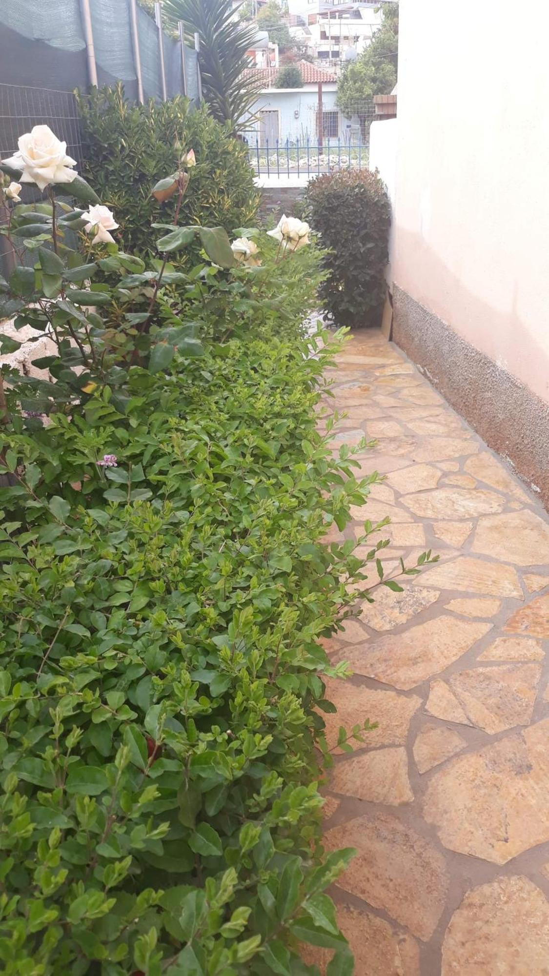 Vila Shuka Ksamil Sarandë 外观 照片